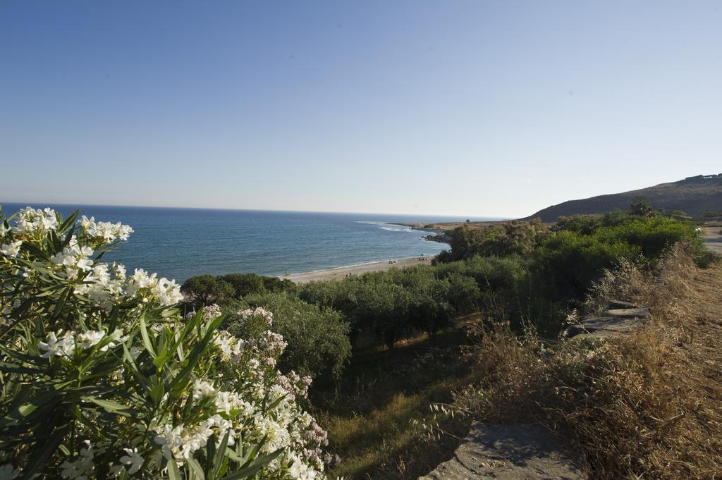 Holiday Beach Lumia Шака Стая снимка