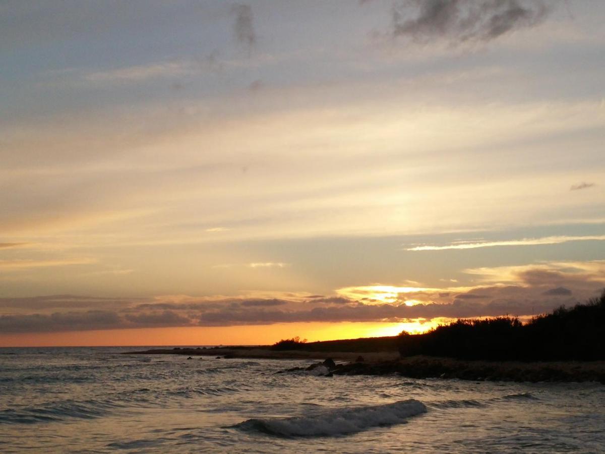 Holiday Beach Lumia Шака Стая снимка